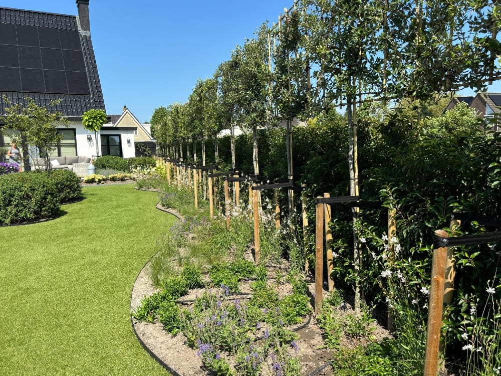 Hovenier Lisse