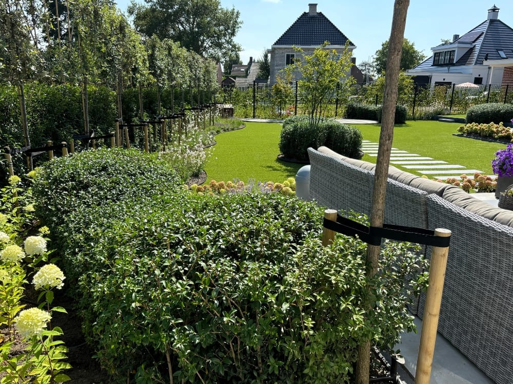 Tuin lisse