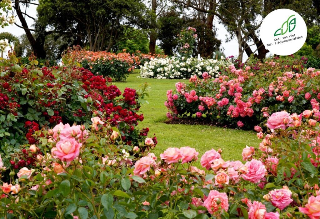 8 Stappen voor tuinonderhoud in het Voorjaar