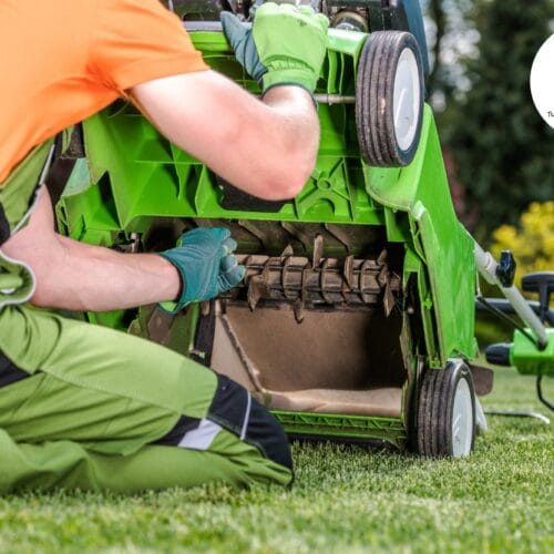 Hoe en wanneer gras verticuteren