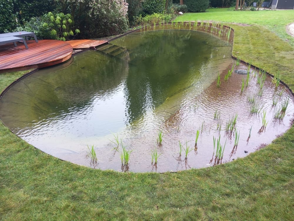 Natuurlijke Zwemvijver met Oeverbeplanting en Vlonder Doorwerth