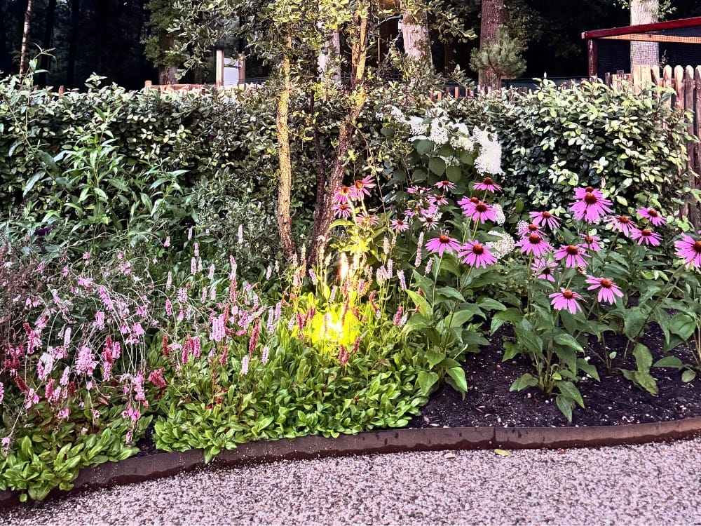 tuinrenovatie duurzaam douglas hout schuur veranda arnhem noord