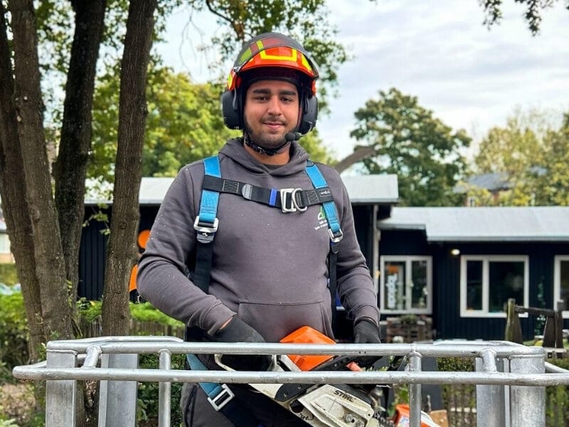 Cornelis Kok Hovenier Bomen snoeier